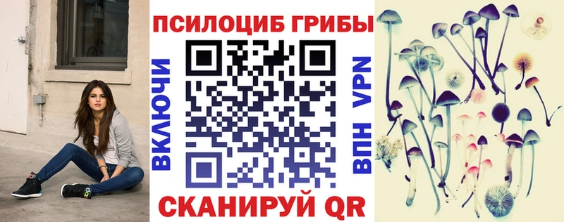 Купить где  Мамадыш  Псилоцибиновые грибы GOLDEN TEACHER 