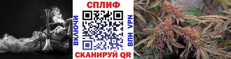 Бошки Шишки тримм Мамадыш